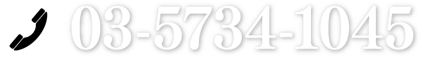 03-5734-1045 営業時間10:00~20:00