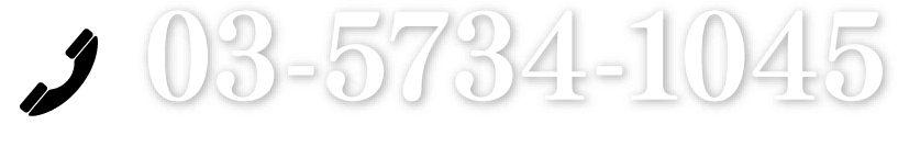 03-5734-1045営業時間10:00~20:00