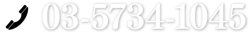 03-5734-1045 営業時間10:00~20:00